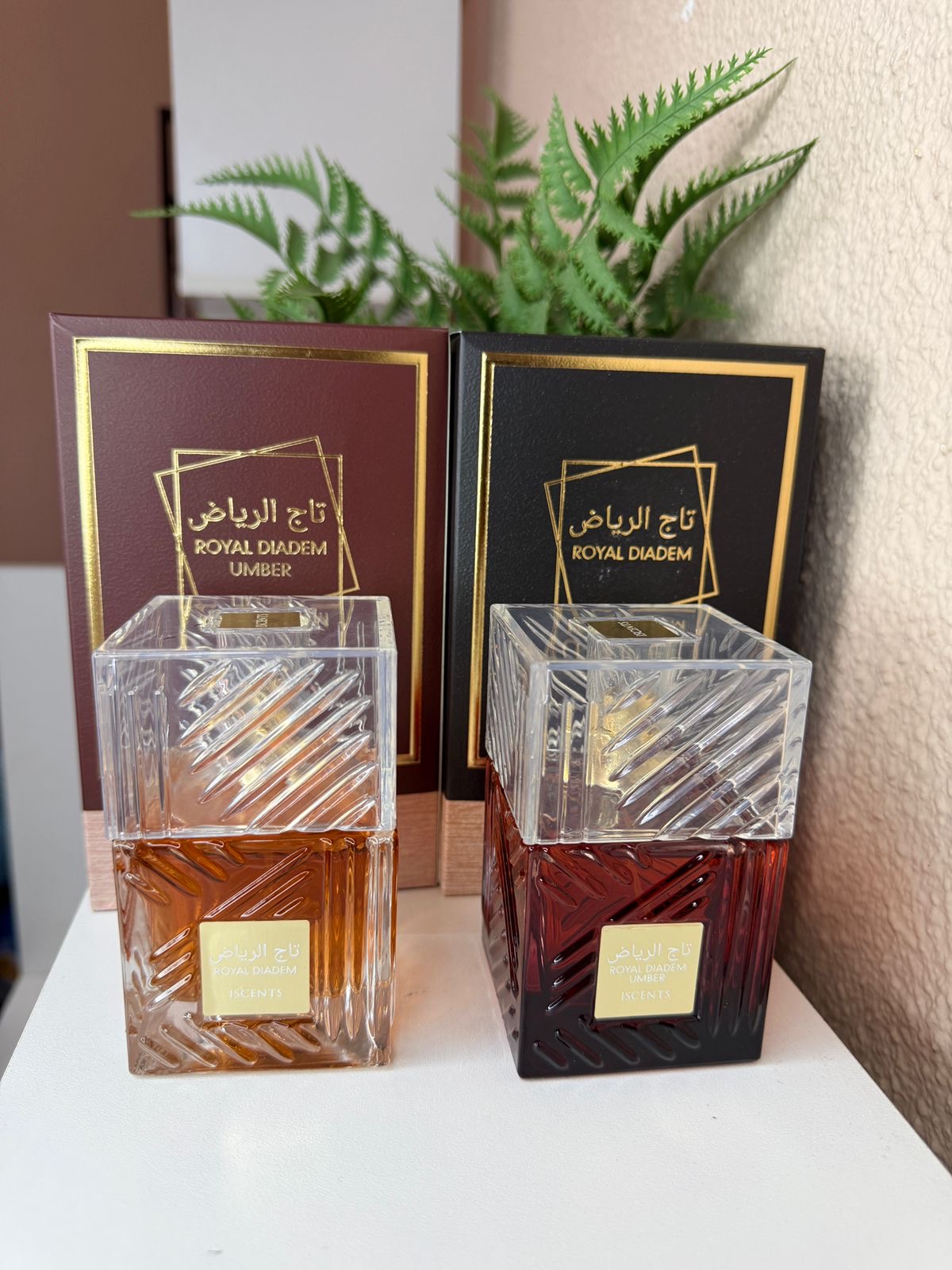 6x Iscents 100ml Insp