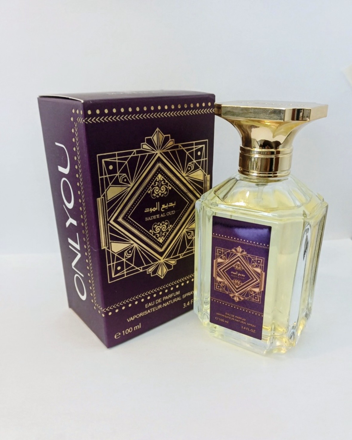 10 Perfumes 100ml Mixed Set