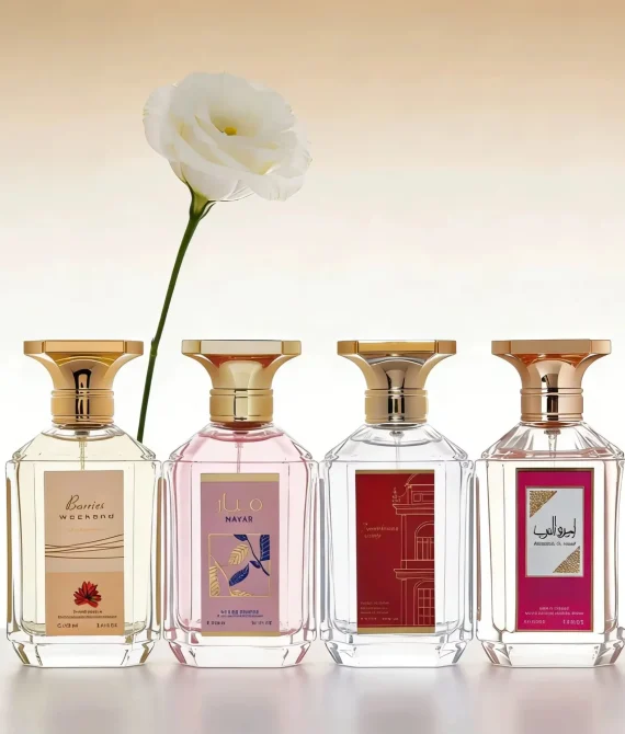 100ml Perfume Set – 10x 100ml